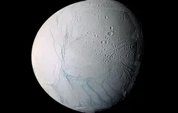 NASA công bố hình ảnh chuyển động của Mặt Trăng Enceladus