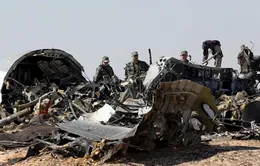 Máy bay Nga rơi ở Ai Cập là do khủng bố