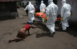Sierra Leone phát hiện trường hợp dương tính với virus Ebola