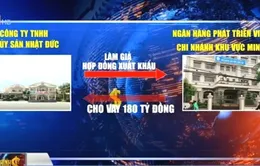 Bắt giam đại gia thủy sản Cà Mau lừa đảo 250 tỷ đồng