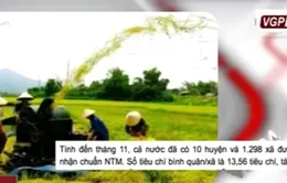 Xây dựng nông thôn mới, nhiều xã chỉ thay đổi về hình thức