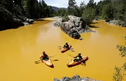 Mỹ: Sự cố tràn nước thải độc hại tại Colorado