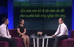 Giải pháp phục hồi độ phì nhiêu cho đất (16h30, 19/7, VTV2)