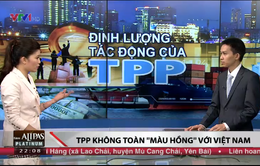 TPP không chỉ toàn "màu hồng" với Việt Nam?