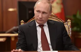 Nga: Tỷ lệ ủng hộ Tổng thống Putin cao kỷ lục