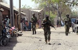 Quân đội Nigeria giải cứu 30 con tin bị Boko Haram giam giữ