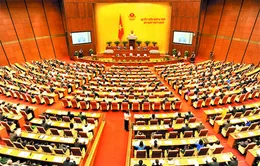 Quốc hội thảo luận dự thảo Bộ luật hình sự (sửa đổi)