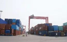 Đề xuất thu mua hàng nghìn container “bỏ quên”