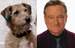 Cầu được ước thấy - Hé lộ vai diễn cuối cùng của Robin Williams