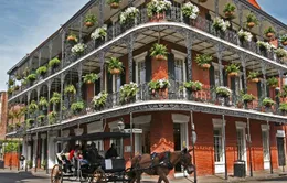 Thành phố New Orleans hồi sinh thần kỳ sau siêu bão Katrina