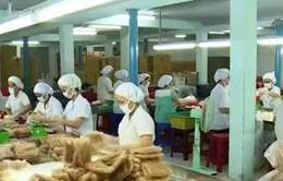 40% DN vừa và nhỏ Việt Nam sản xuất theo hướng xuất khẩu