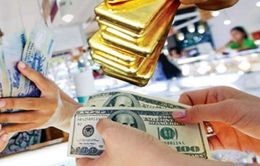 Hà Nội: Bắt sàn vàng ảo HGI chiếm đoạt 270 tỉ đồng