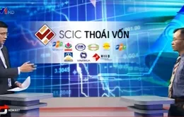 Tại sao SCIC thoái vốn khỏi ‘con gà đẻ trứng vàng’ như Vinamilk?