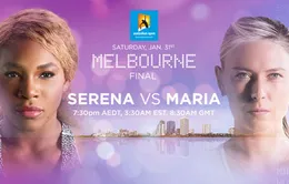 Sharapova – Serena: Tìm nữ hoàng đích thực (15h30, FOX Sports)