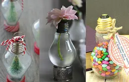 Những ý tưởng tái chế bóng đèn độc đáo