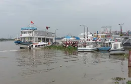 DN ở cảng Bạch Đằng chưa có phương án di dời