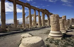 Syria báo động việc IS đặt mìn tại những di tích cổ ở Palmyra