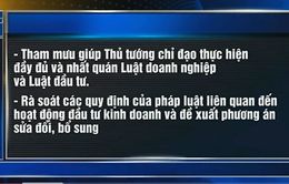 Chính phủ lập tổ công tác về Luật Doanh nghiệp, Luật Đầu tư