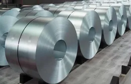 Các công ty Việt Nam không bán phá giá thép cuộn carbon