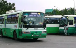 DN vận tải xe Bus xin miễn truy thu hơn 100 tỉ đồng