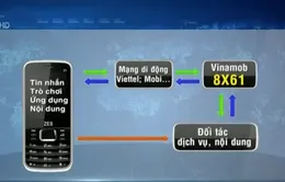 Chiếm đoạt tiền các thuê bao di động, Vinamob bị xử phạt 50 triệu đồng