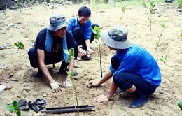 20 năm chương trình phái cử tình nguyện viên của JICA tại Việt Nam