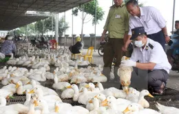 Thành lập 6 đoàn kiểm tra liên ngành ATVSTP dịp Tết Nguyên đán