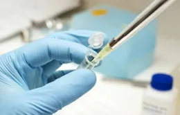 Brazil thử nghiệm vaccine phòng sốt xuất huyết