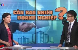 Việt Nam cần bao nhiêu doanh nghiệp để hội nhập?