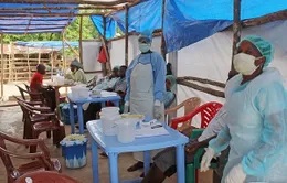 Sierra Leone bãi bỏ các biện pháp cách ly chống Ebola