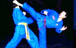 Người có công đưa Vovinam - Việt Võ đạo ra thế giới