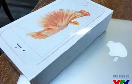 iPhone 6S xách tay bản Rose Gold về Việt Nam có giá gần 31 triệu đồng
