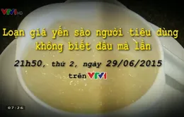 "Loạn" giá yến sào (21h50, VTV1)