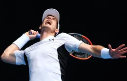 Vòng 2 Australian Open 2016: Murray dễ dàng đi tiếp