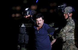 Mexico đồng ý dẫn độ trùm ma túy El Chapo về Mỹ