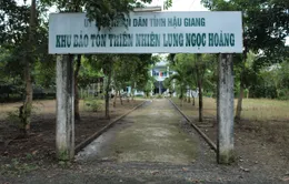 Bế tắc di dời dân ở khu bảo tồn Lung Ngọc Hoàng (Hậu Giang)