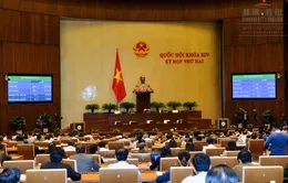 VTV News tường thuật trực tuyến phiên trả lời chất vấn của Thủ tướng và 4 Bộ trưởng