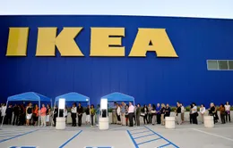 Hãng Ikea bị cáo buộc trốn thuế 1 tỷ Euro ở châu Âu