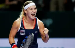 Dominika Cibulkova và năm 2016 đầy ấn tượng