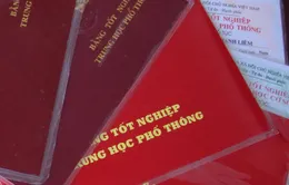 Phát hiện 50 giáo viên trường lái xe dùng bằng giả tại Đăk Lăk