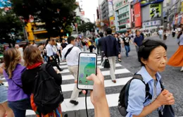 Nhật Bản: Tài xế đâm chết người vì mải chơi Pokemon Go