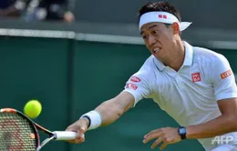 Wimbledon 2016: Ferrer bị loại, Nishikori thắng ngược dòng