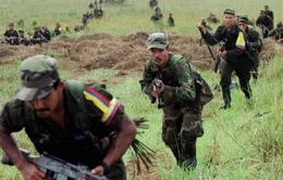 Mỹ cân nhắc đưa FARC ra khỏi danh sách khủng bố