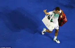 Federer phải nghỉ thi đấu 1 tháng vì phẫu thuật đầu gối