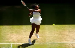 Wimbledon 2016: Serena Williams lần thứ 9 vào chung kết sau chiến thắng 'hủy diệt'!