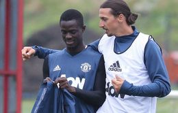 Ibrahmovic quyết định làm HLV sau khi chia tay Man Utd?