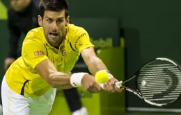 Novak Djokovic hủy diệt đối thủ, nhẹ nhàng vào bán kết Qatar Open