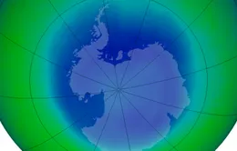 Tầng ozone tại Nam cực đang phục hồi
