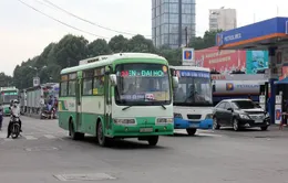 TP.HCM: Trợ giá nghìn tỷ đồng, khách đi xe bus vẫn giảm đều