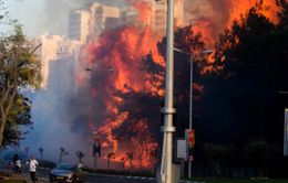 Cháy rừng tại Israel, 80.000 người phải sơ tán